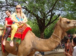 Jaipur - Pink City Tour
