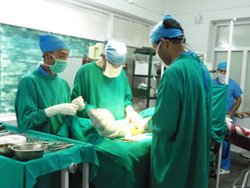 Medical and Healthcare Internship in Palampur - India