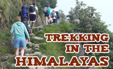 Trekking in Himalayas
