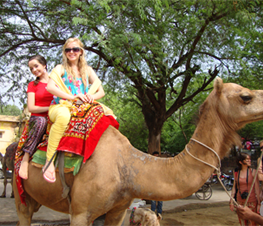 summer volunteer programs in India