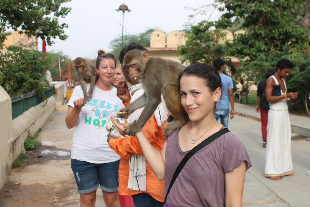 Photo Gallery - Childcare & Elephant Volunteering