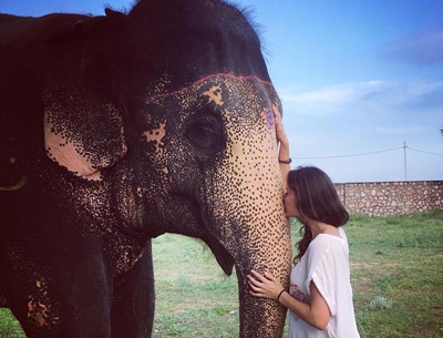 volunteering with elephants in India