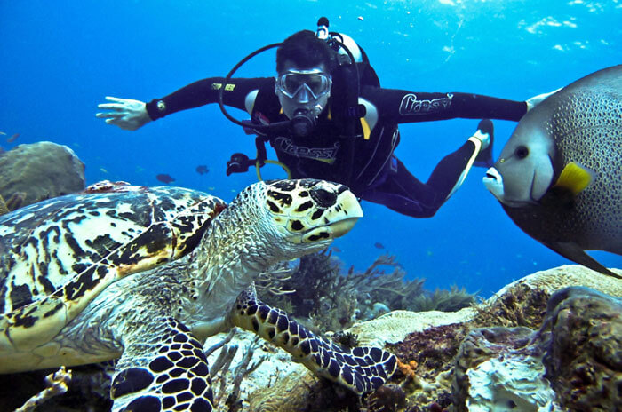 Scuba Diving in India