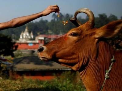 How to Deal with Culture Shock While Volunteering in India? How to Deal with Culture Shock While Volunteering in India?