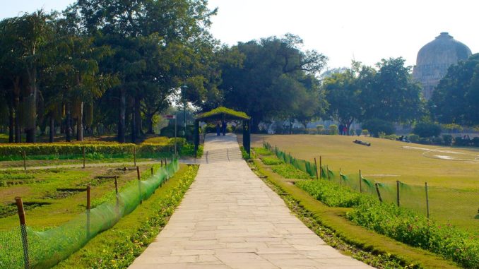 walk at Lodhi Gardens